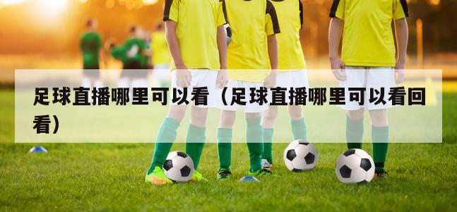 足球直播哪里可以看（足球直播哪里可以看回看）