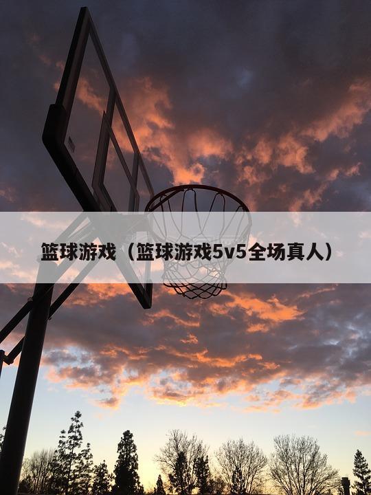 篮球游戏（篮球游戏5v5全场真人）