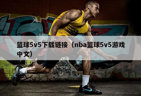 篮球5v5下载链接（nba篮球5v5游戏中文）